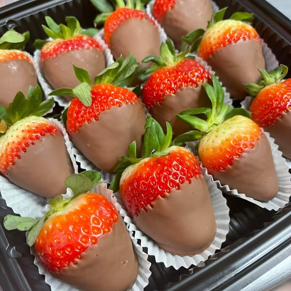 A dozen chocolate-dipped strawberries with green stems in a black container with white paper liners.